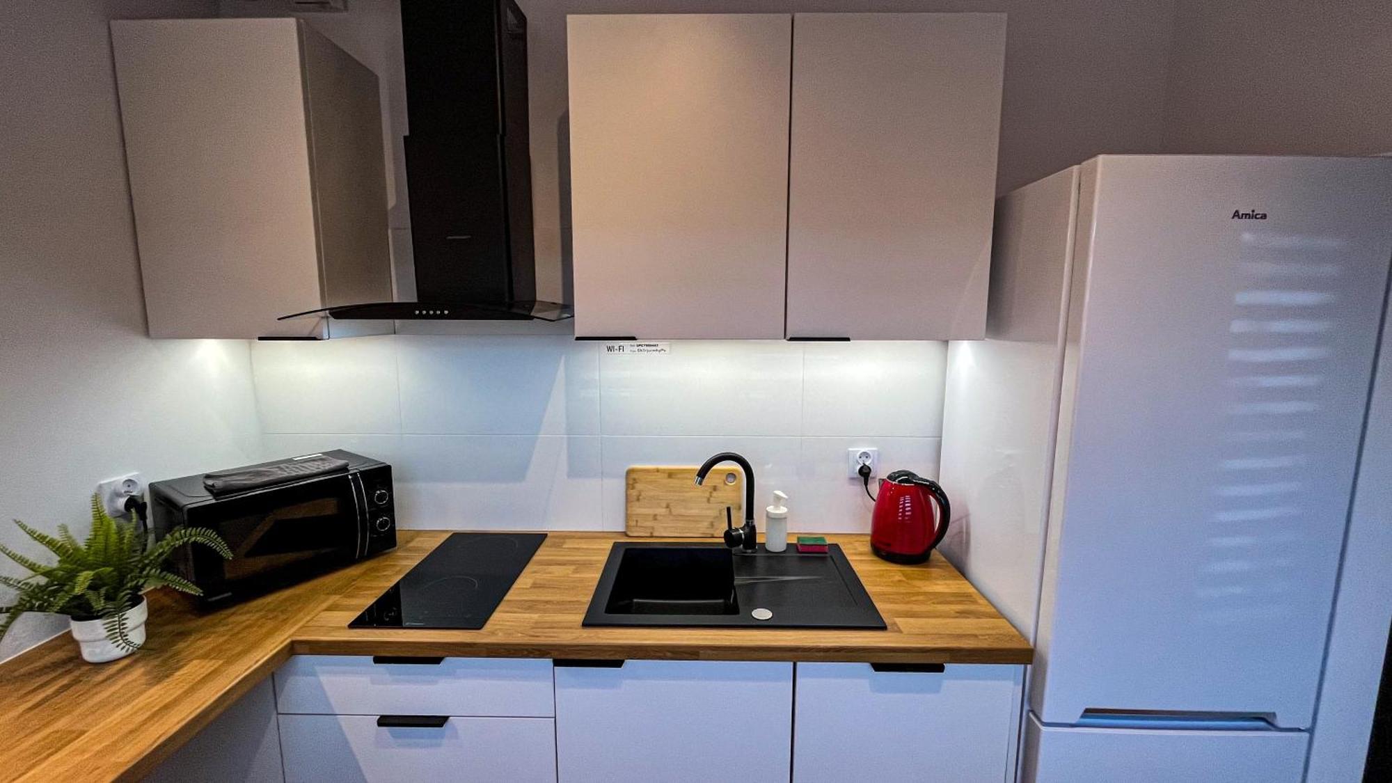 Apartament Lublin Centrum „Ice Cat” Kültér fotó